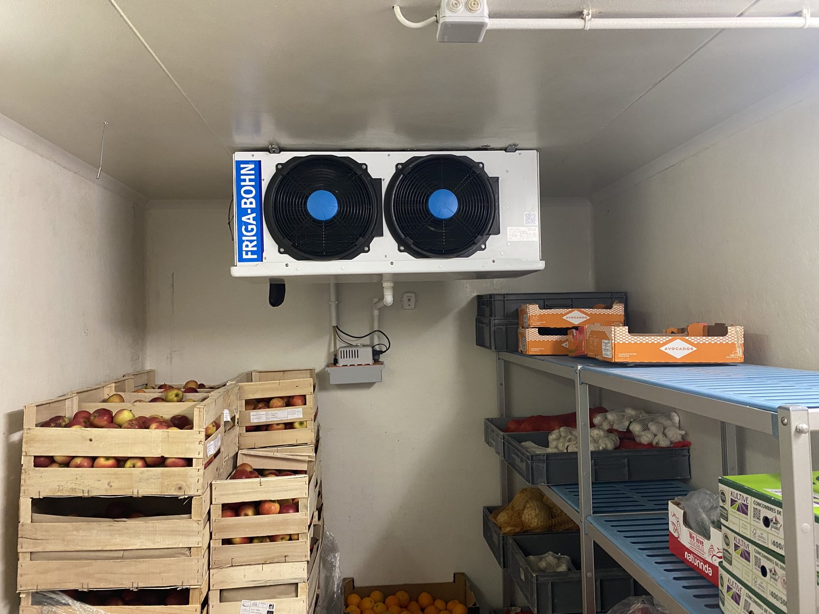Chambre froide d'un site : évaporateur FRIGA-BOHN au plafond et cagettes de fruits et légumes.
